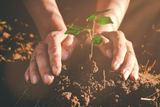 Borbély László: Elkészítettük a 2030-ig tartó fenntartható fejlődési mutatók monitoring rendszerét Borbély László: Elkészítettük a 2030-ig tartó fenntartható fejlődési mutatók monitoring rendszerét
