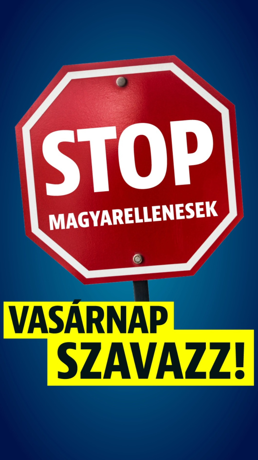 Szavazz az egyedüli jelöltre, aki le tudja győzni a magyarelleneseket! Szavazz az egyedüli jelöltre, aki le tudja győzni a magyarelleneseket!