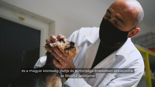 Ismerd meg jelöltjeinket: Kolcsár Károly Ismerd meg jelöltjeinket: Kolcsár Károly